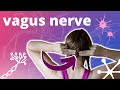 Vagus nerve massage for stress  anxiety relief