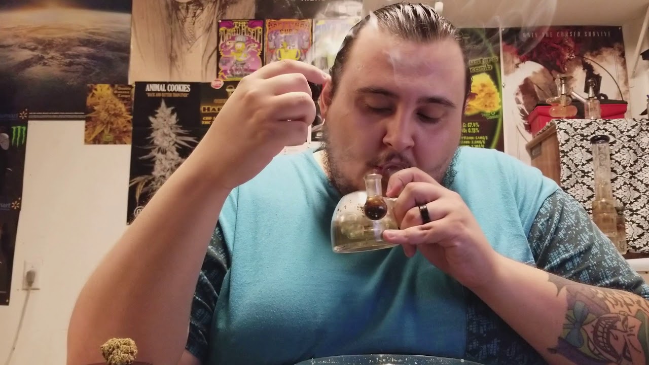 Medical marijuana strain review (Agent Orange)