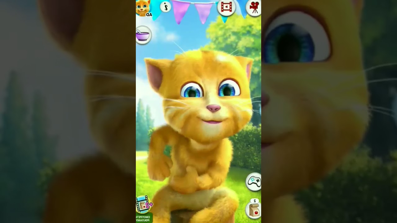 Talking Ginger 2 - Coffin Dance Song Cover