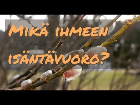 Video: Mikä on tyhjennyspöytä?