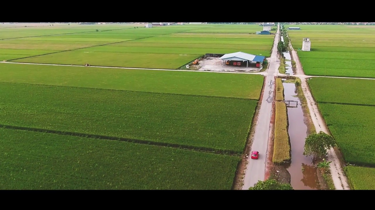 Sekinchan, Malaysia 《适耕庄•马来西亚》- 航拍 - YouTube