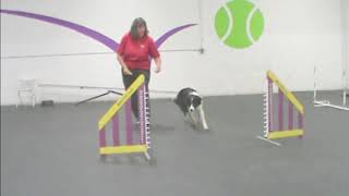 Front Cross Turn in Dog Agility