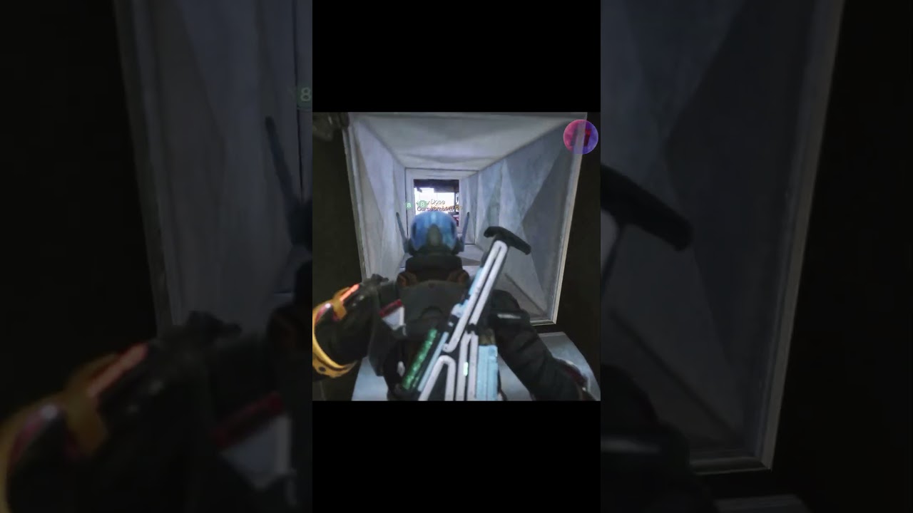 Archie HIDING in the Tower - Destiny 2