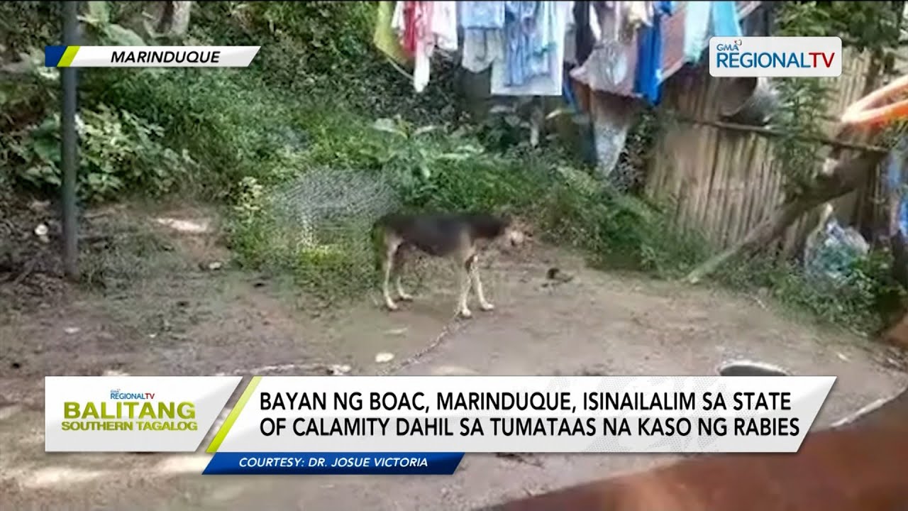 Balitang Southern Tagalog: Banta ng Rabies - YouTube