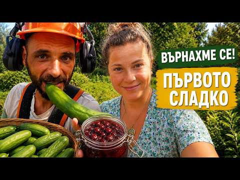 След 10 дни ни чакаше ТОВА: Първото сладко, море от краставици и нов обитател