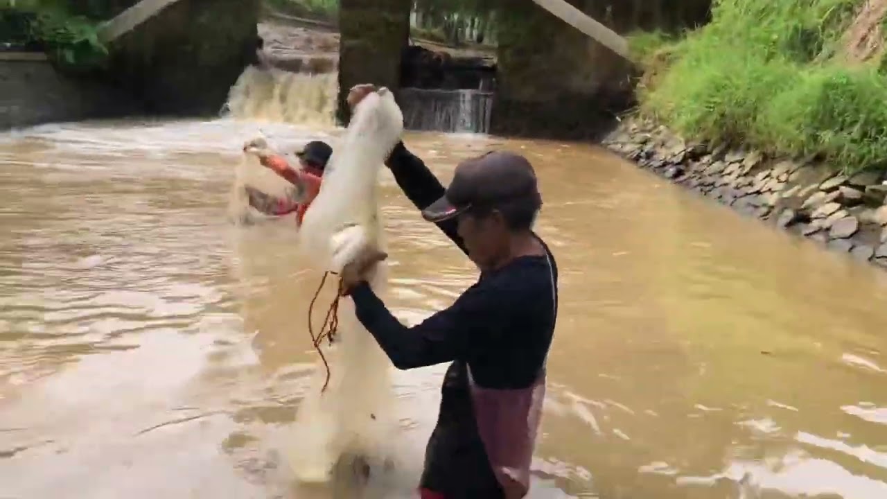 Ngejala ikan di selokan