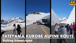 Walking Around Tateyama Kurobe Alpine Route❗ Japan virtual tour [video in vertical mode] 4K