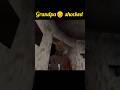 GrandpaBattle 😨 Who survived -#granny #ytshorts #shortfeed #shorts