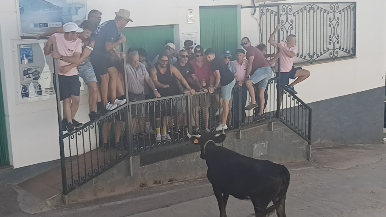 Encierro de Torres de Albanchez  tarde muy movida 2025