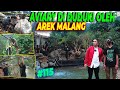 #EPS115 DEHAKIMS AVIARY | CAK HERRY GOKIL..! AVIARY LANGSUNG BERUBAH TOTAL DALAM WAKTU 1 MALAM SAJA