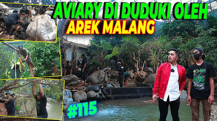 #EPS115 DEHAKIMS AVIARY | CAK HERRY GOKIL..! AVIARY LANGSUNG BERUBAH TOTAL DALAM WAKTU 1 MALAM SAJA