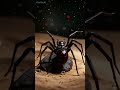 KARAKURT POV: #karakurtpov #spiderpov #arachnidpov #microworld #pov