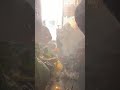 Hawan