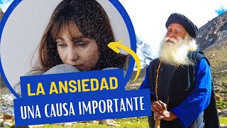 Cómo UNA causa importante desencadena la ANSIEDAD | Sadhguru en español