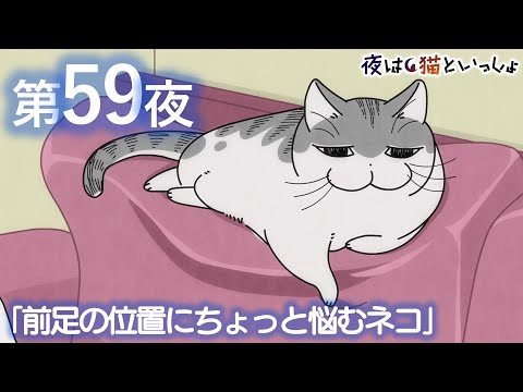 前足の位置にちょっと悩むネコ