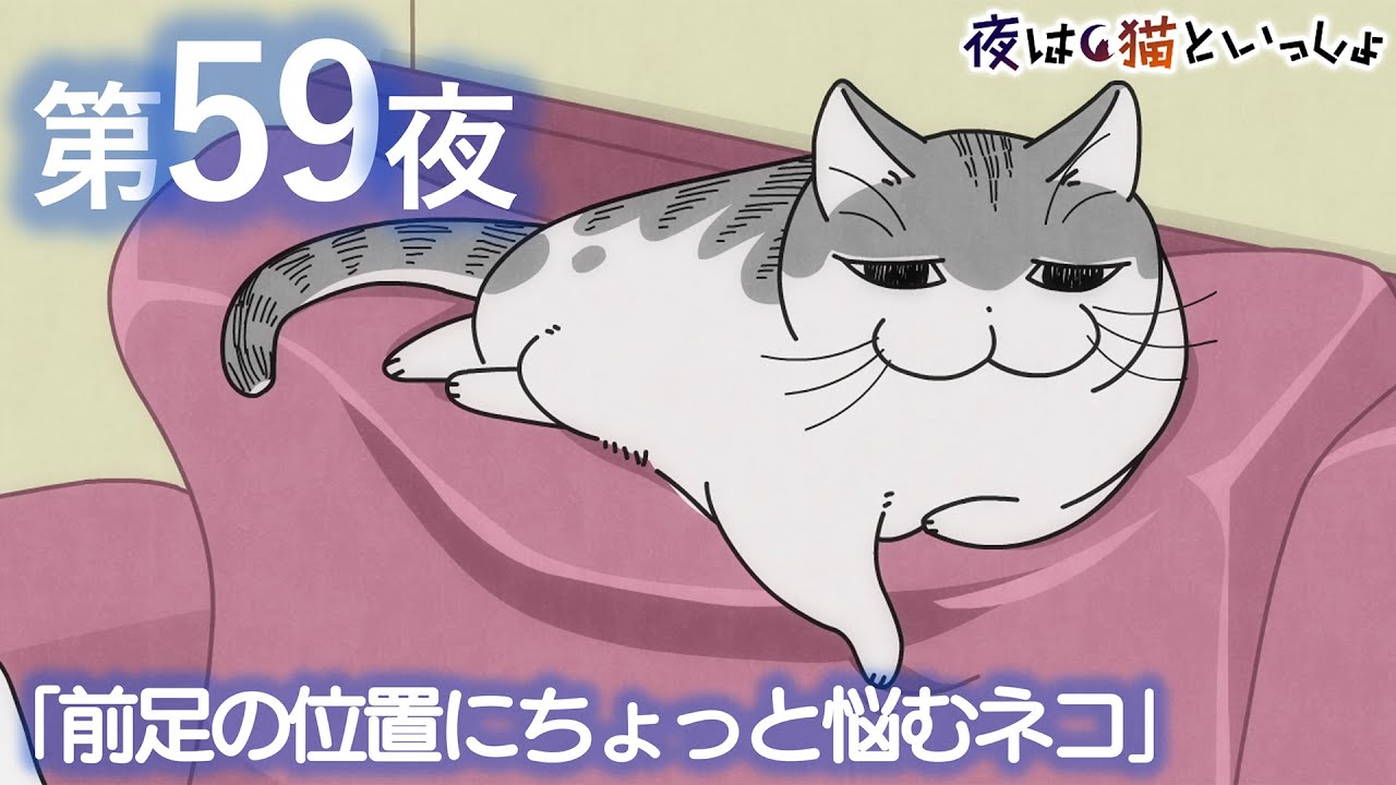 アニメ『夜は猫といっしょ』第59夜「前足の位置にちょっと悩むネコ