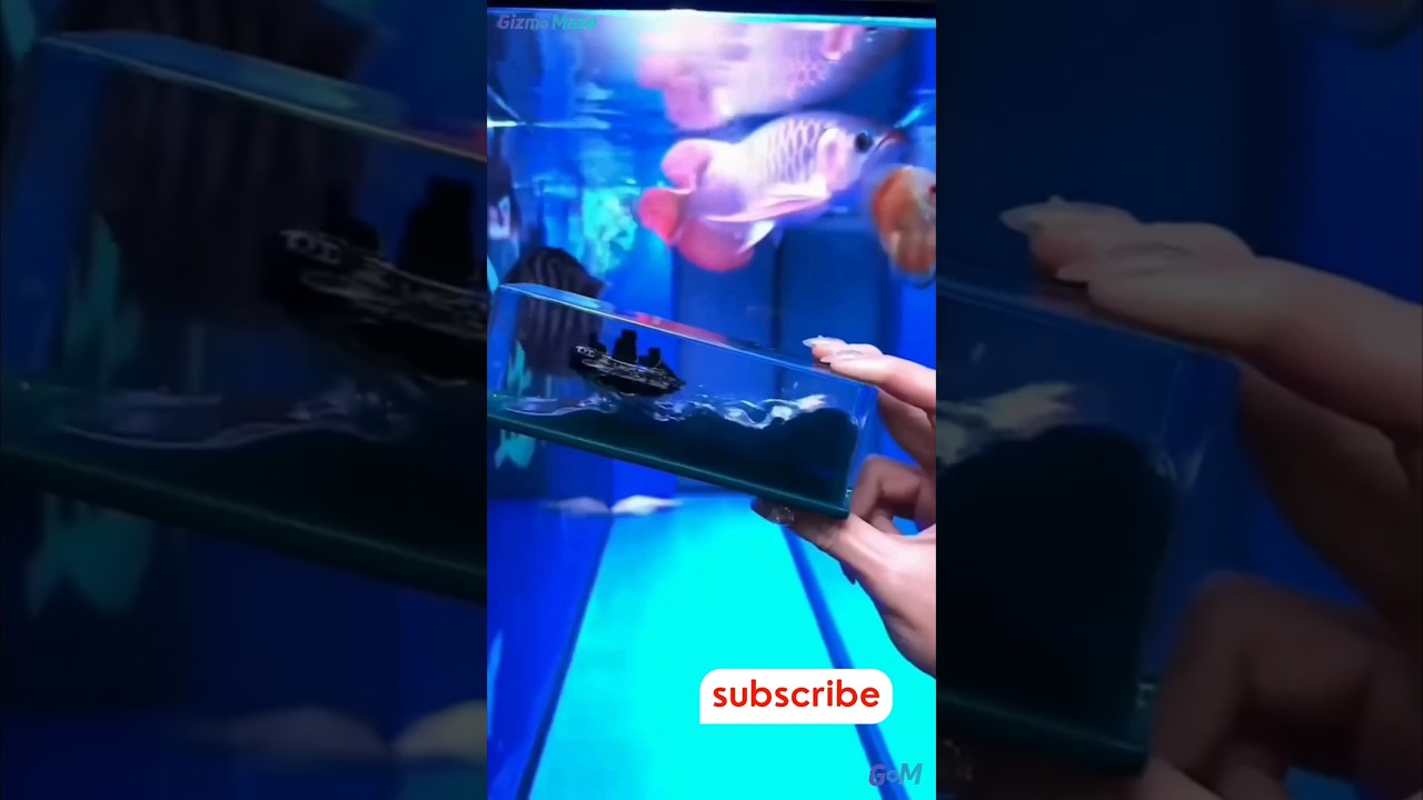 Titanic ship🚢🥵| "The Unsinkable Dream: Modern Titanic Cruise Ship" 