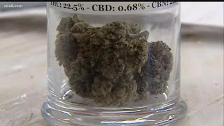 Cannabis enters the California State Fair competition