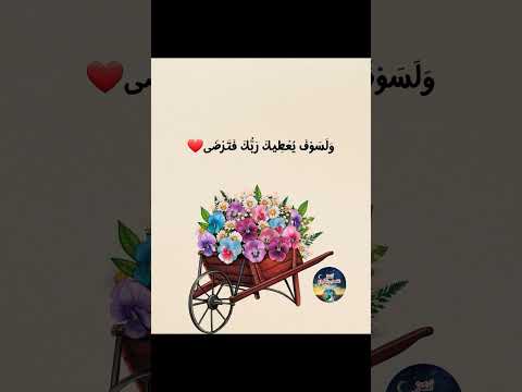  و ل س و ف ي ع ط يك ر ب ك ف ت الدكتورمحمدالشال