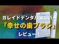 ガレイドデンタルメンバーの「幸せの歯ブラシ」をレビュー！【電動歯のサブスク】