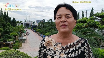 Người phụ nữ bỏ Bác Sỹ về làm giàu từ nghề cây Kiểng nổi tiếng Cai Lậy Tiền Giang