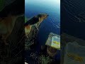 И попался хороший лещ рыбалка селигер аудиокнига И попался хороший лещ рыбалка селигер аудиокнига