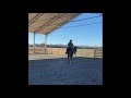 New Riding Arena