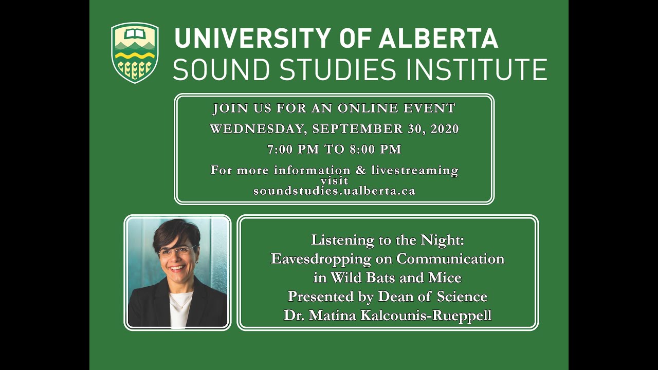 Listening to the night: eavesdropping on communication in wild bats and mice