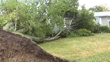 Cleanup underway across Massachusetts after storms down trees, power lines