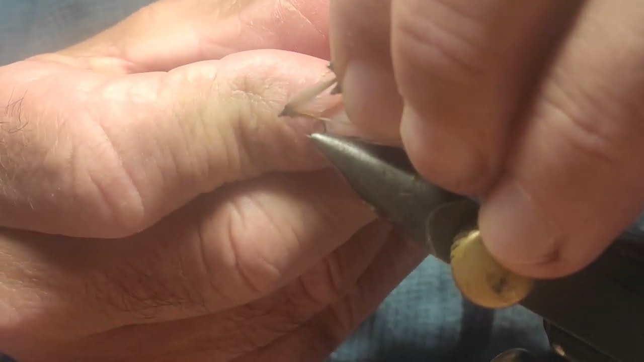 oliva marron Ref 5412 Hookuna