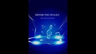 Within The Spaces 