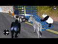 Zoo Animal Truck Transport Games - Best Gameplay 2026 HD