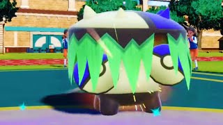 why don't people use Brute Bonnet in doubles?