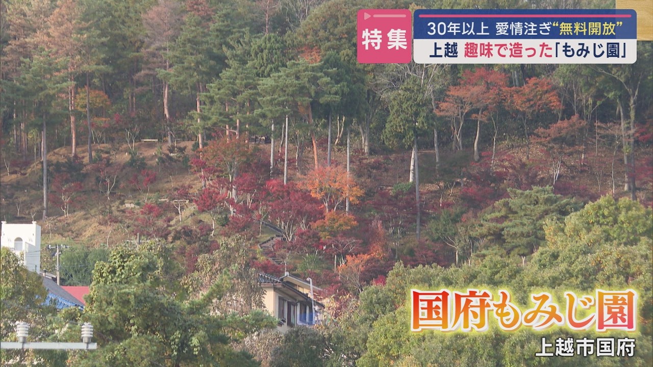 紅葉 もみじ もみじ園の紅葉(新潟県) ｜紅葉名所2025