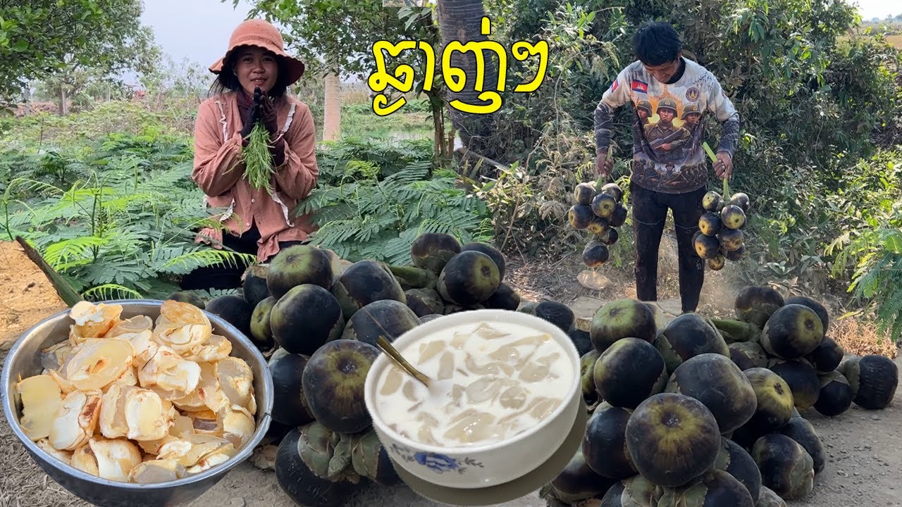 ថ្ងៃនេះ បានរបស់ឆ្ងាញ់ទៀតហើយ ធ្វើបង្អែមត្នោតញ៉ាំ