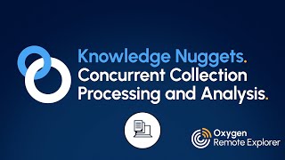 Concurrent Collection Processing and Analysis Using Oxygen Remote Explorer
