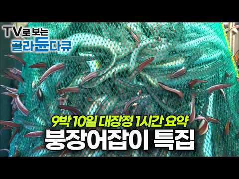 9박 10일 붕장어잡이 대장정 1시간 몰아보기｜미끼부터 양망, 통발 수거, 선상먹방까지｜극한직업｜#골라듄다큐
