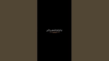 ولله مافي السموات ومافي الأرض ماتيسر من سورة النجم بصوت القارئ ياسر الدوسري كرومه شاشه سوداء