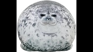 Roblox Islevery Very Pro Seal Shoews You Howe To Geat Gotling Gun