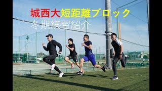 【練習紹介】城西大短距離ブロック　冬期練習メニュー ツーステップ応用