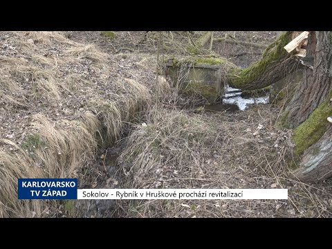 Video: To znamená na této straně rybníka?