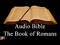 The Book of Romans - NIV Audio Holy Bible - High Quality and Best Speed - Book 45