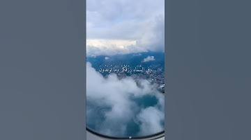 ﴿ وَفِي السَّمَاءِ رِزْقُكُمْ وَمَا تُوعَدُونَ ﴾ [ سورة الذاريات] #الشعراوي_رحمه_الله