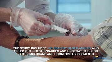 Unlocking The Secrets Of Brain Aging: Scientists Uncover Key Nutrients