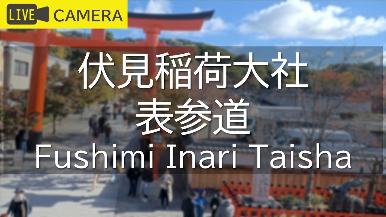 【LIVE】京都 伏見稲荷大社 表参道ライブ中継カメラ／Fushimi Inari Taisha, Kyoto Live camera