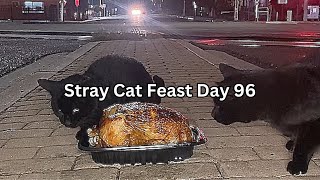 Stray Cat Feast Day 96 by SW 37 views 4 months ago 15 minutes