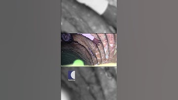 അപകടകാരിയായ ശംഖുവരയൻ പാമ്പിനെ കിണറിൽ ഇറങ്ങി പിടികൂടി #vavasuresh #snakemaster