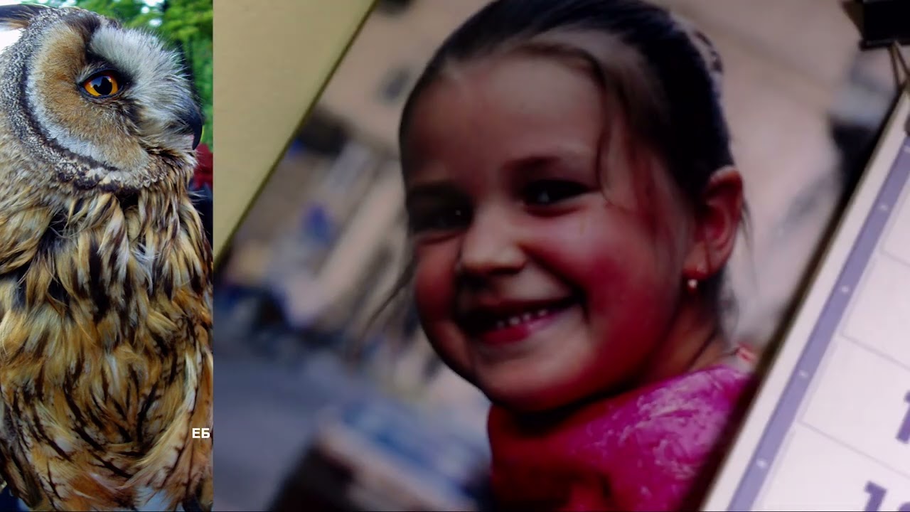 АпофеозА Войны Верещагин Хромой Тимур 03SEP2025 030925 090325