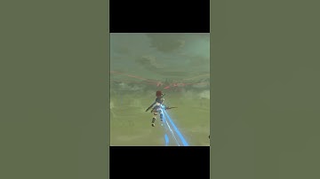 BLSS wiggle #BOTW #SPEEDRUN #GLITCH tell me in comments for a tutorial
