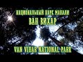 Реликтовый лес Van Vihar в Манали: вековые гималайские кедры деодары. В Индию с Марией Карпинской